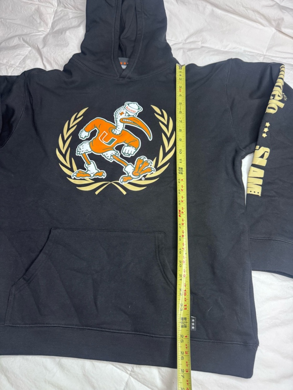 Modelo USA x SLAM Collab Hoodie Miami Hurricanes March Madness Sebastian Ibis - Picture 7 of 17